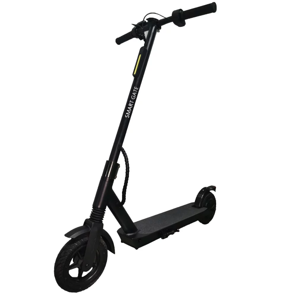 Smart Gate E-Scooter 250W Electronic Brake Iron Grey